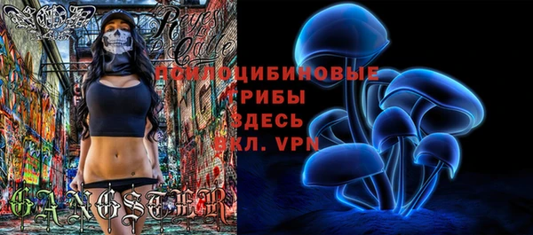 индика Алексеевка