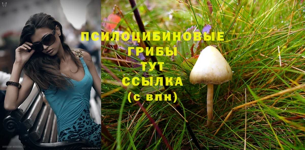 ALPHA PVP Алзамай