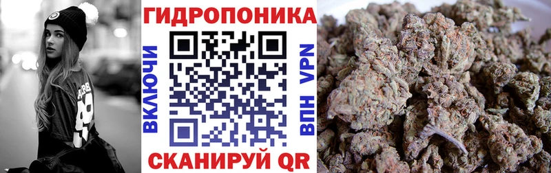 Конопля план  где продают наркотики  Арск 